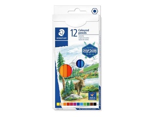 Krāsainie zīmuļi Staedtler 146C, 12 gab.