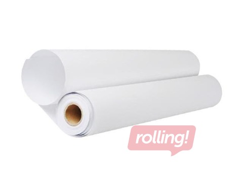 Papīrs rullī DataCopy, 29.7cm x 175m, 80g/m²