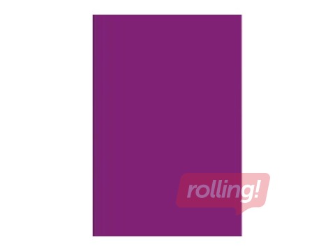 Kartons Happy Color, divpusējs, A4, 170g/m², lavanda, 25 loksnes