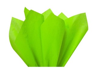 Zīdpapīrs dekoratīvais Vert pomme 0006, 18g/m², 50x75cm, 24 loksnes