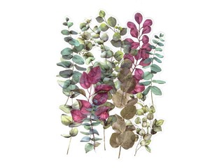 Uzlīmes Galeria Papieru Barberries