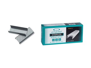 Skavas Concorde Nr.24/6, 1000 gab.