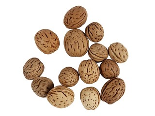 Rieksti ar čaumalu, 25 gr.