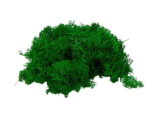 Stabilizētas sūnas, 300g, zaļas