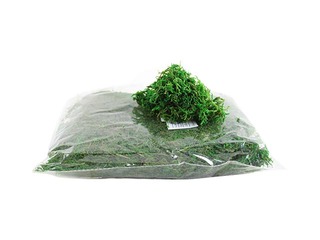 Dekoratīvās sūnas, zaļas, 100g