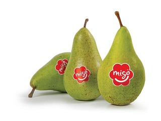 Bumbieri Migo 75+kal, 1.šķira, 1kg